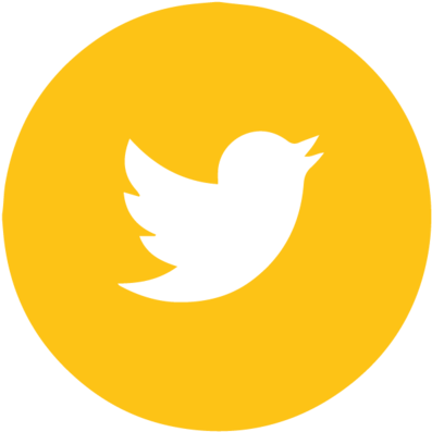 Twitter Logo Icon