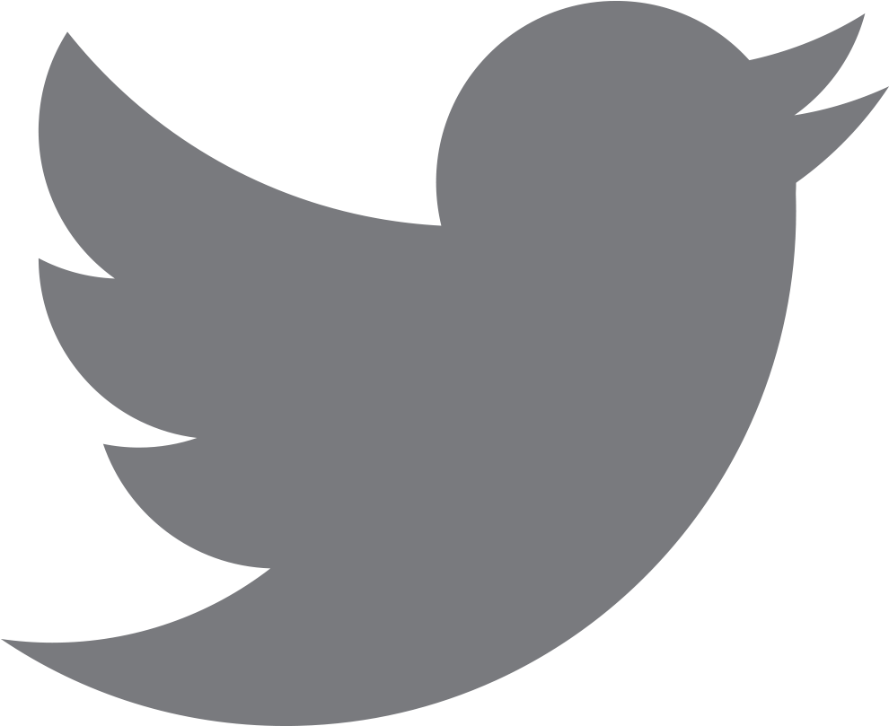 Twitter Logo Icon