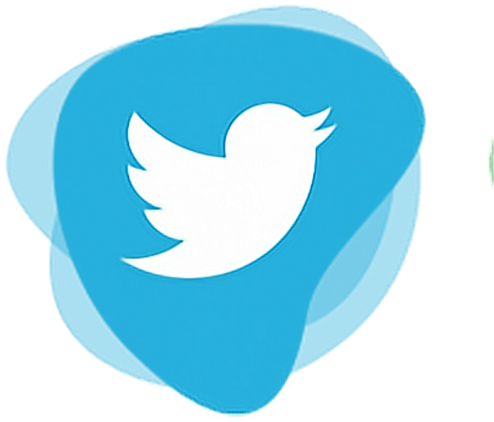 Twitter Logo Icon