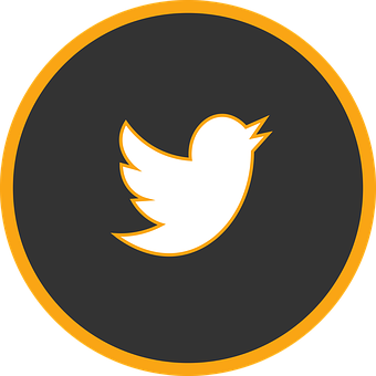 Twitter Logo Orangeand Black