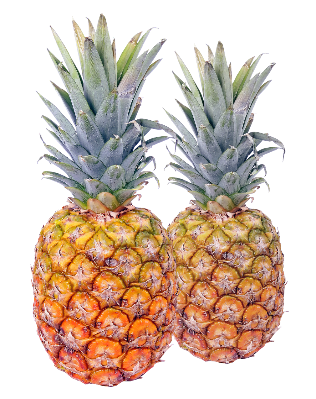 Two Fresh Pineapples Isolated