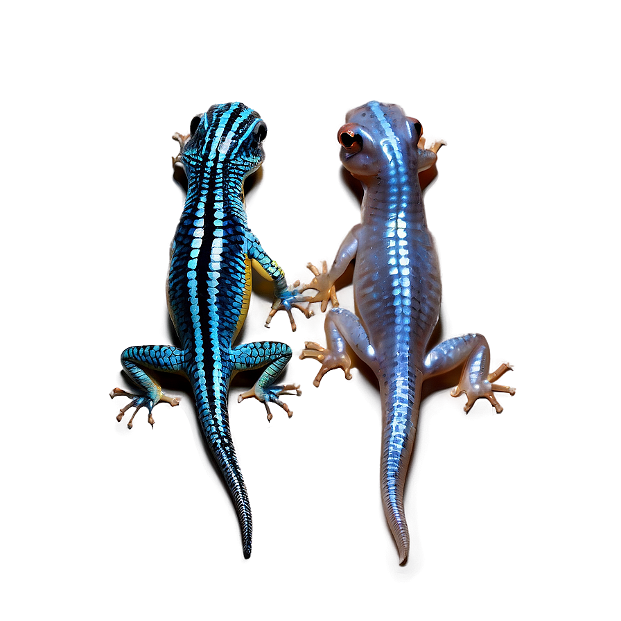 Two Newts Png Eax