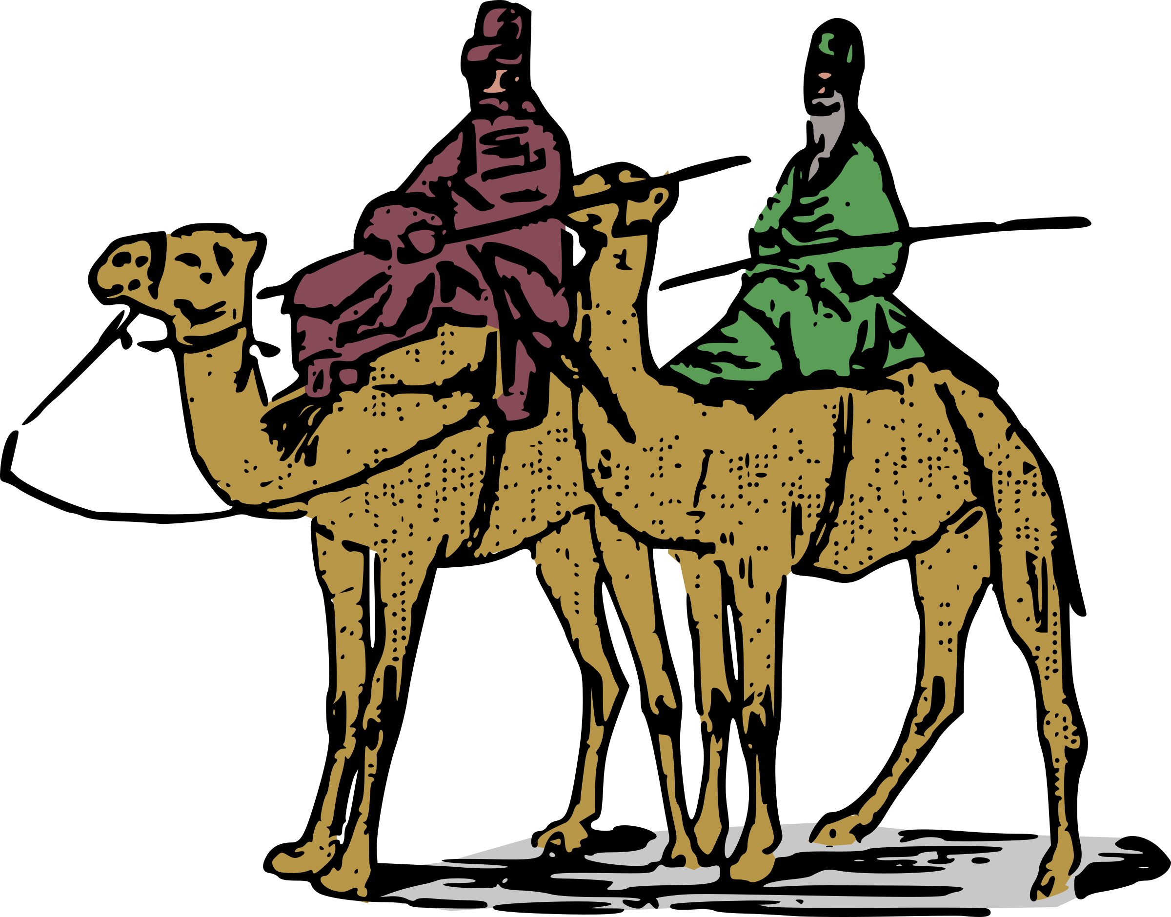 Two Riderson Camel Illustration