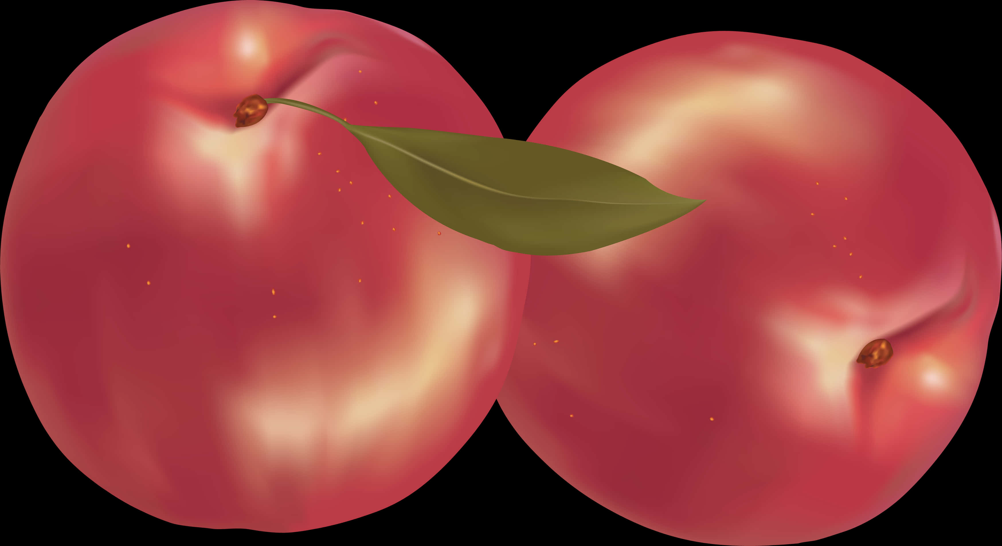 Two Ripe Peaches Illustration