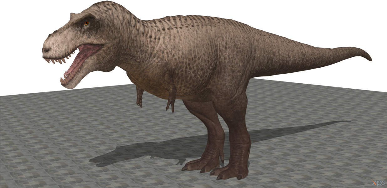 Tyrannosaurus Rex3 D Model