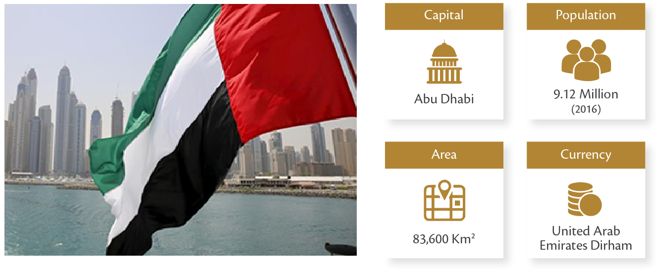 U A E Flag Dubai Skyline Infographic