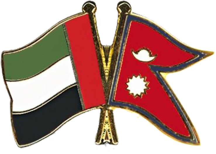 U A Eand Nepal Flags Pin