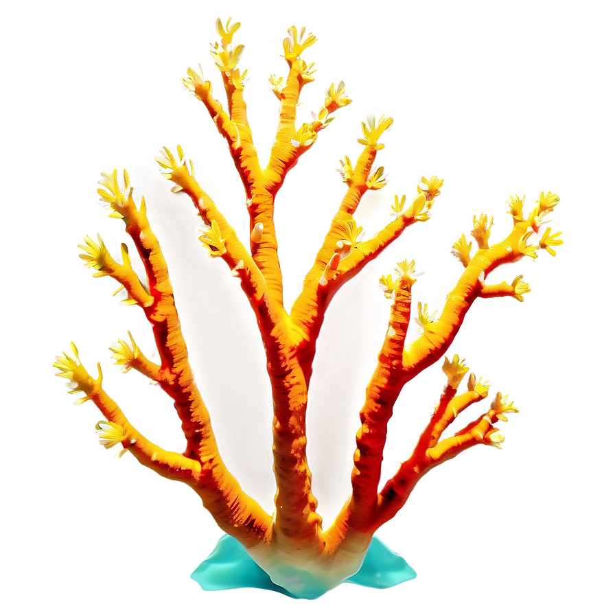 Underwater Coral Reef Png 82