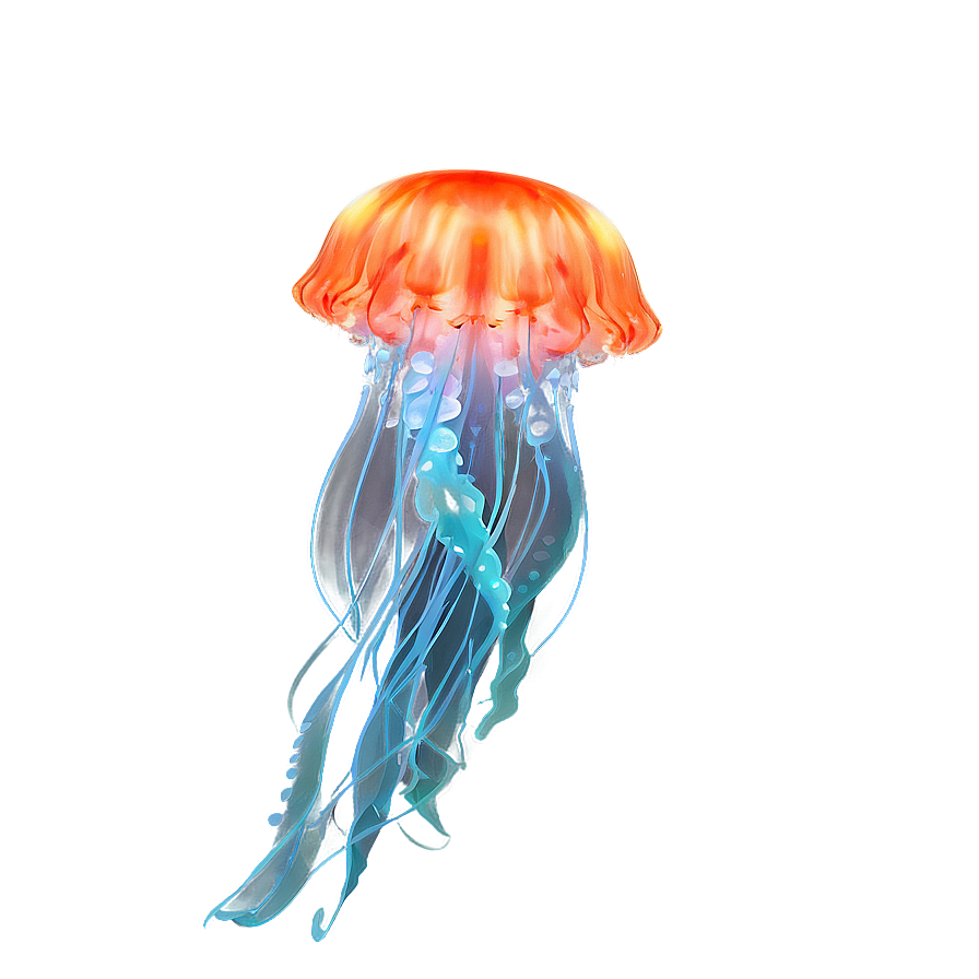 Underwater Jellyfish Png 86