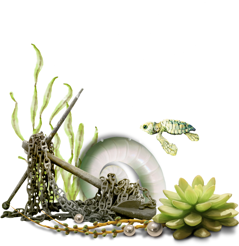 Underwater Marine Life Scene