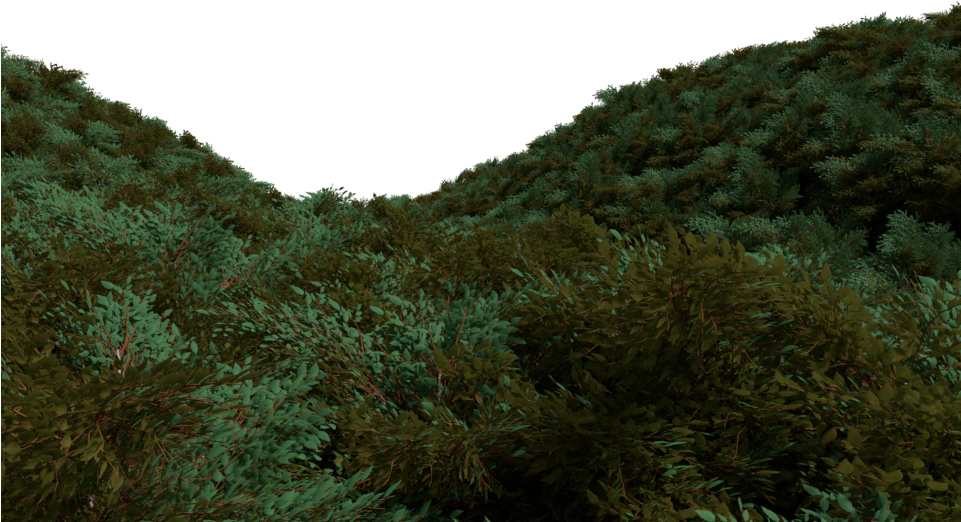 Underwater_ Seabed_ Foliage