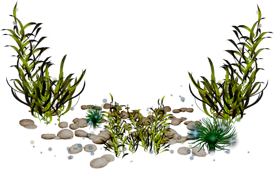 Underwater Seaweed Scene