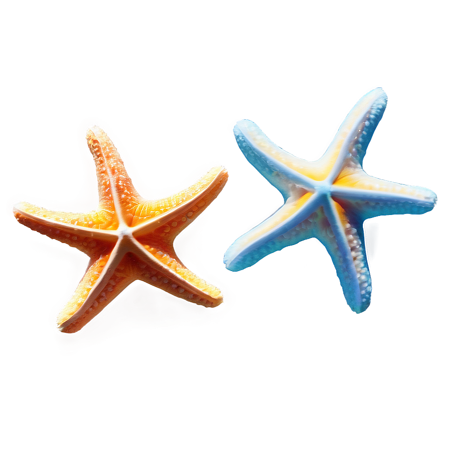 Underwater Starfish Png 93