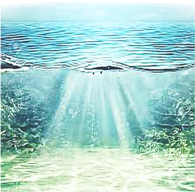 Underwater_ Sunbeams_ Aquatic_ View.jpg