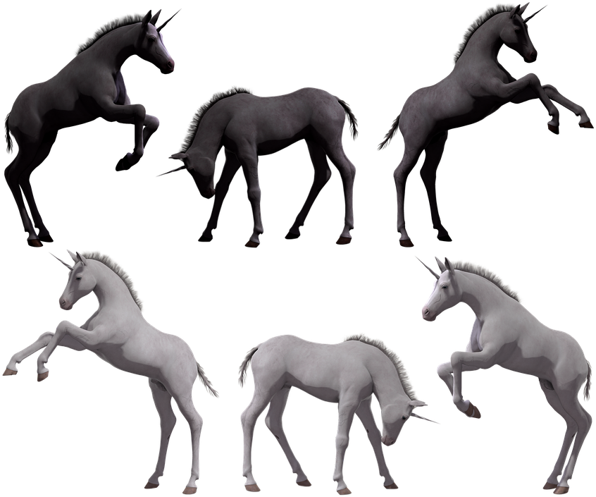 Unicorn_ Foals_ In_ Various_ Poses