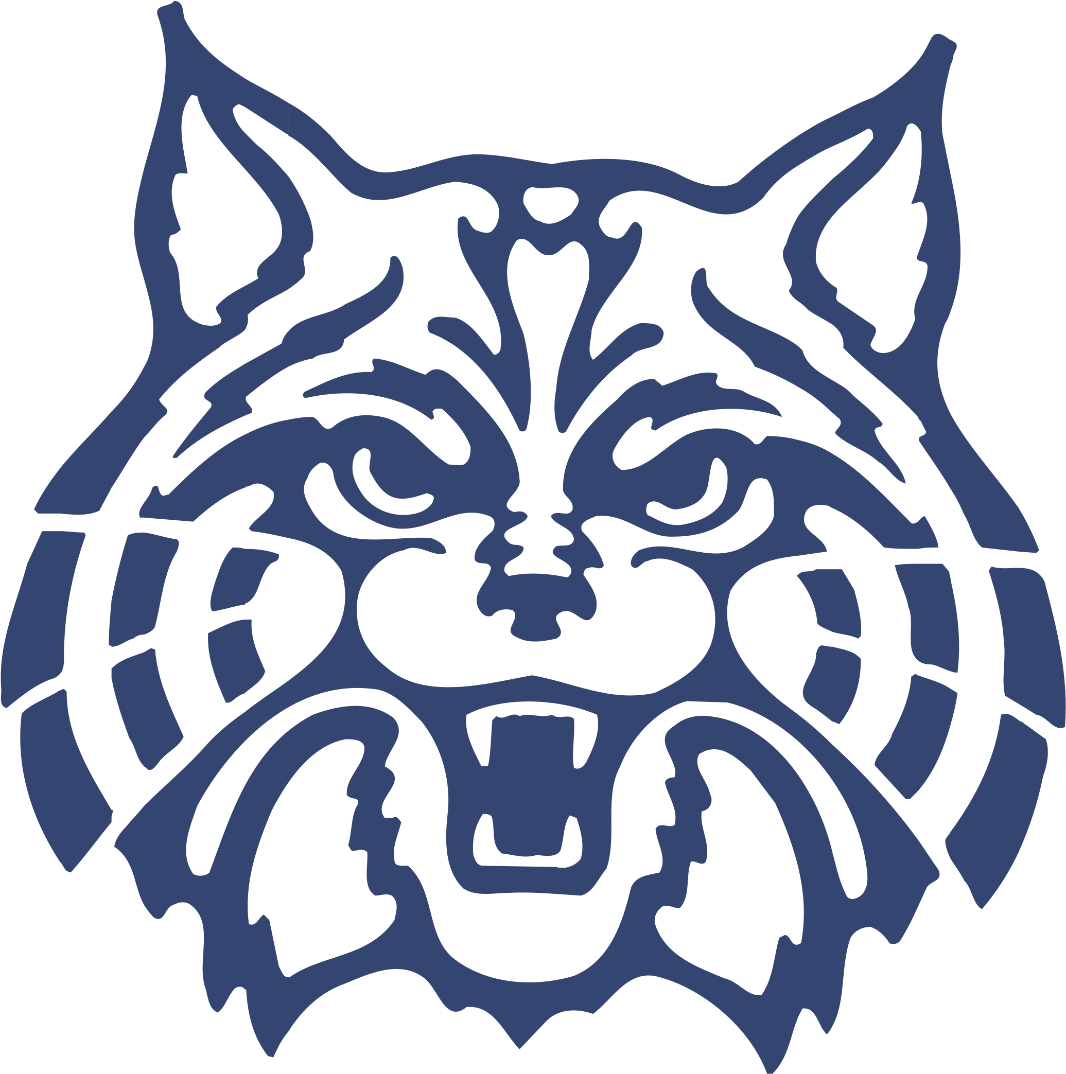 Universityof Arizona Wildcats Logo