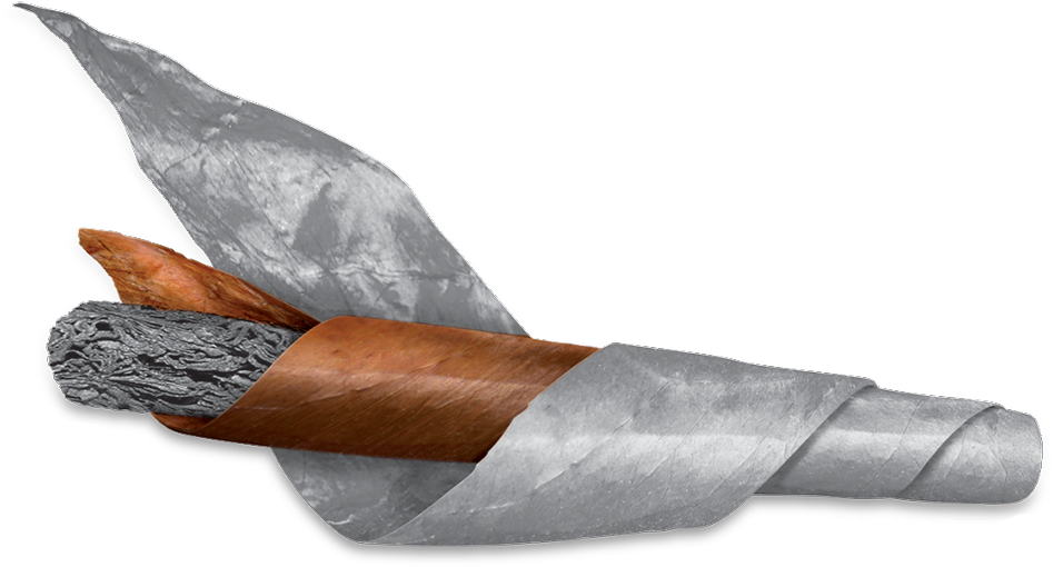 Unlit Cigar Wrappedin Leaves