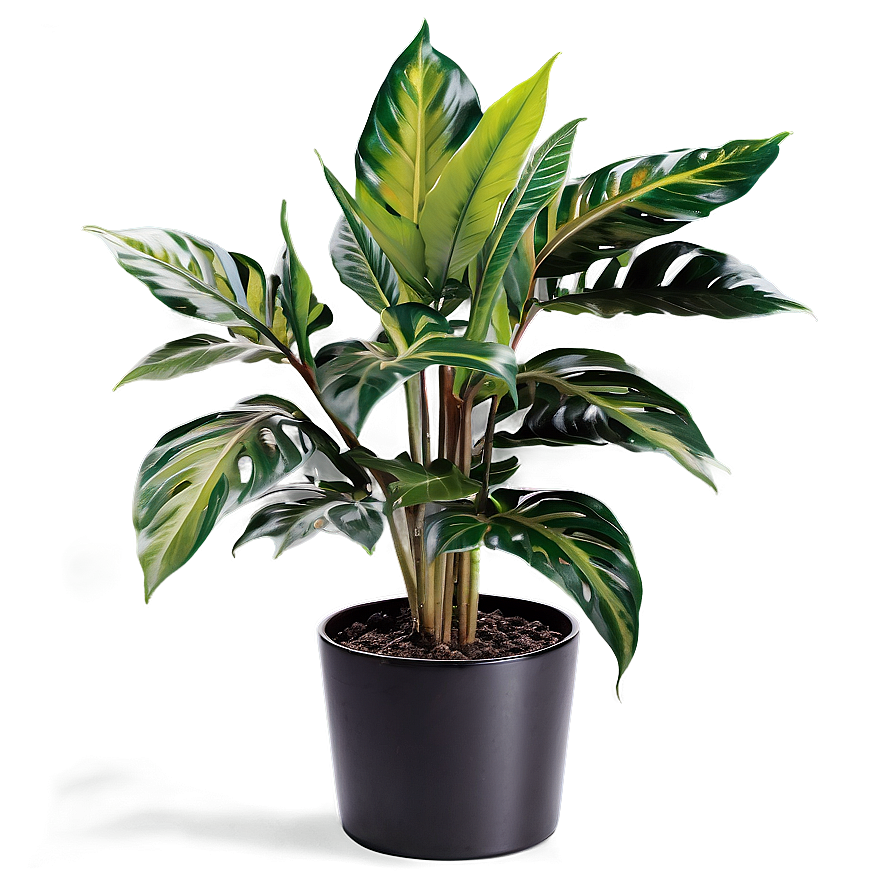 Urban Floor Plant Png Itu