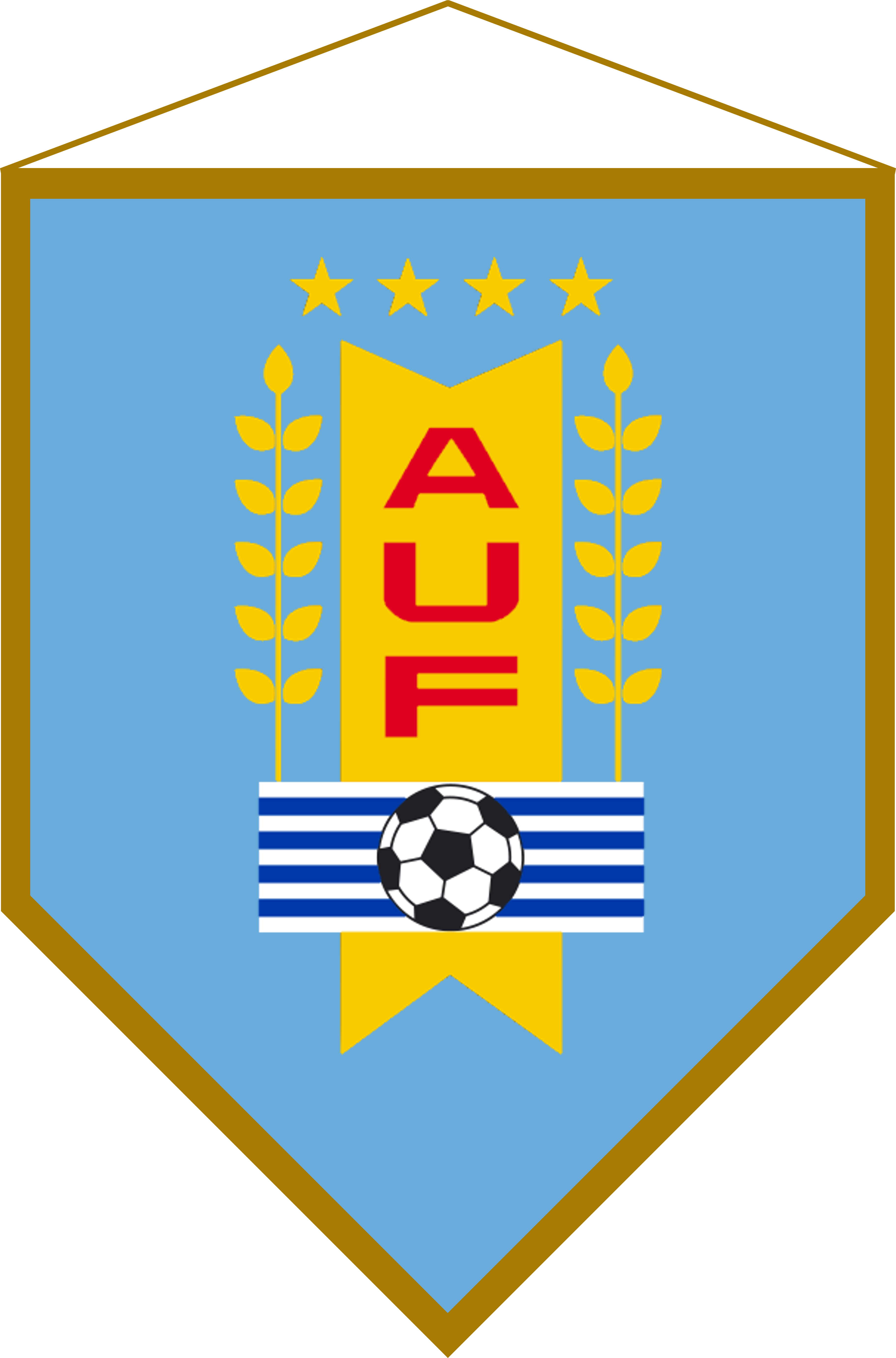 Uruguayan Football Association Pennant