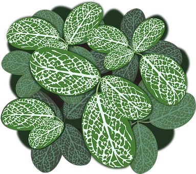 Variegated Leaves Pattern.jpg