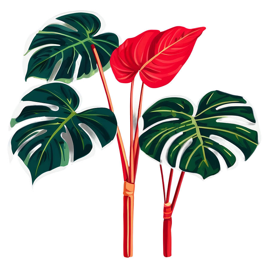 Variegated Monstera Plant Png Fjk8