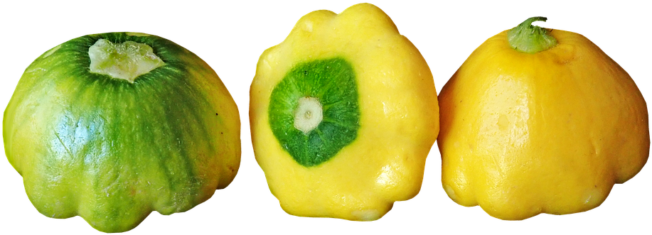 Varietiesof Summer Squash