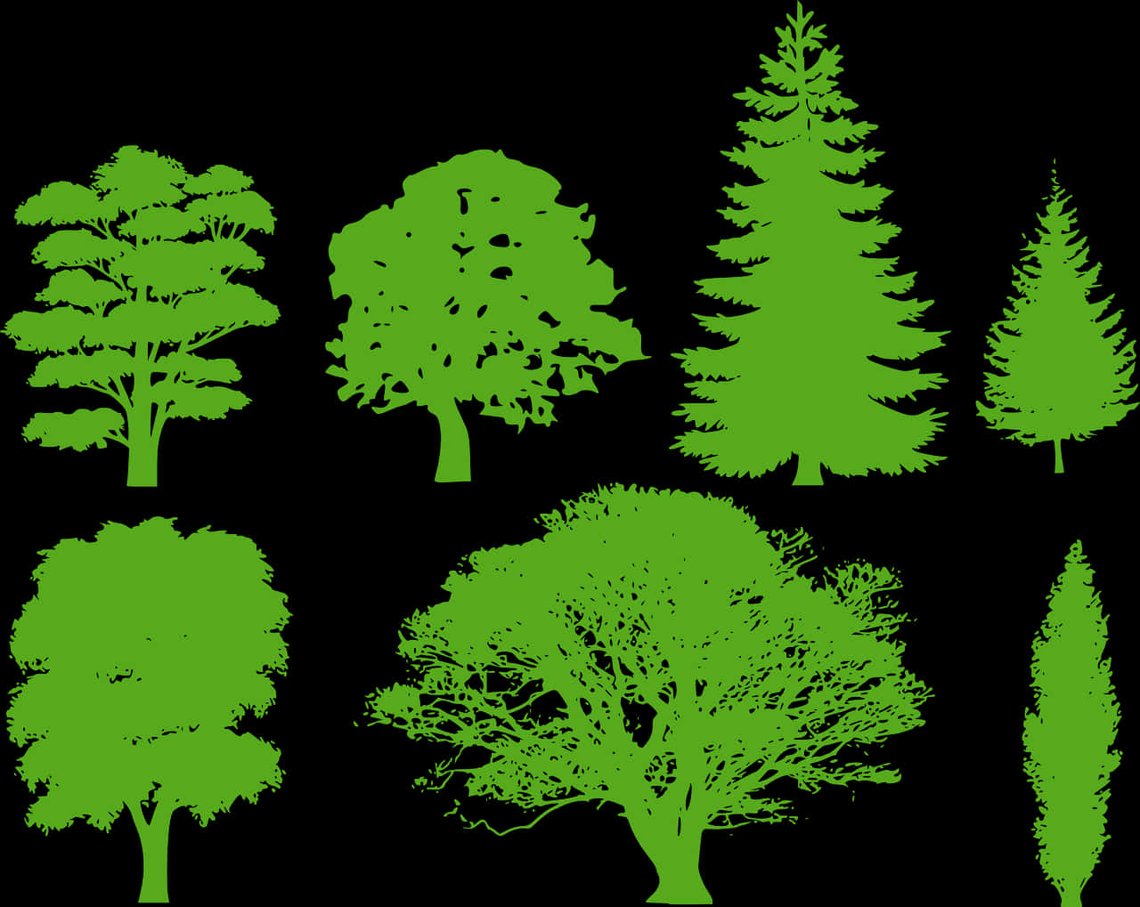 Varietyof Green Tree Silhouettes