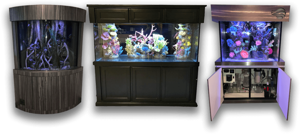 Varietyof Home Aquariums