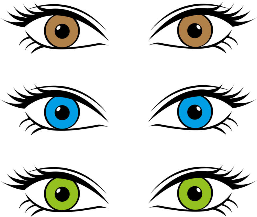 Varietyof Human Eyes Illustration