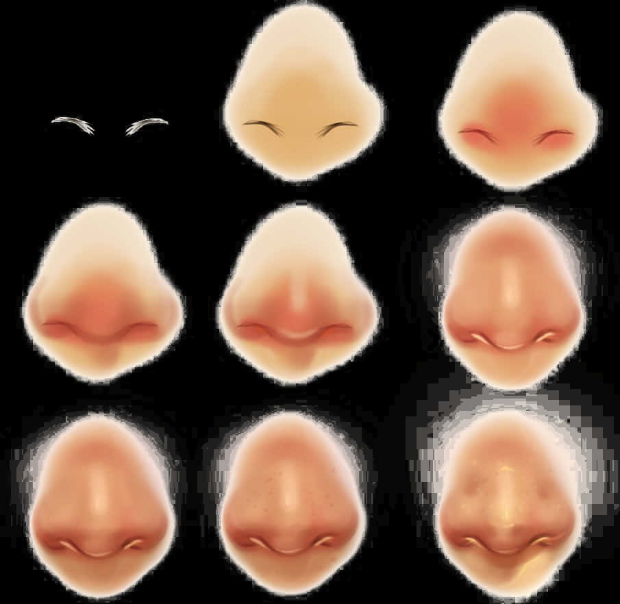 Varietyof Noses Illustration