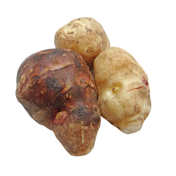 Varietyof Raw Tubers