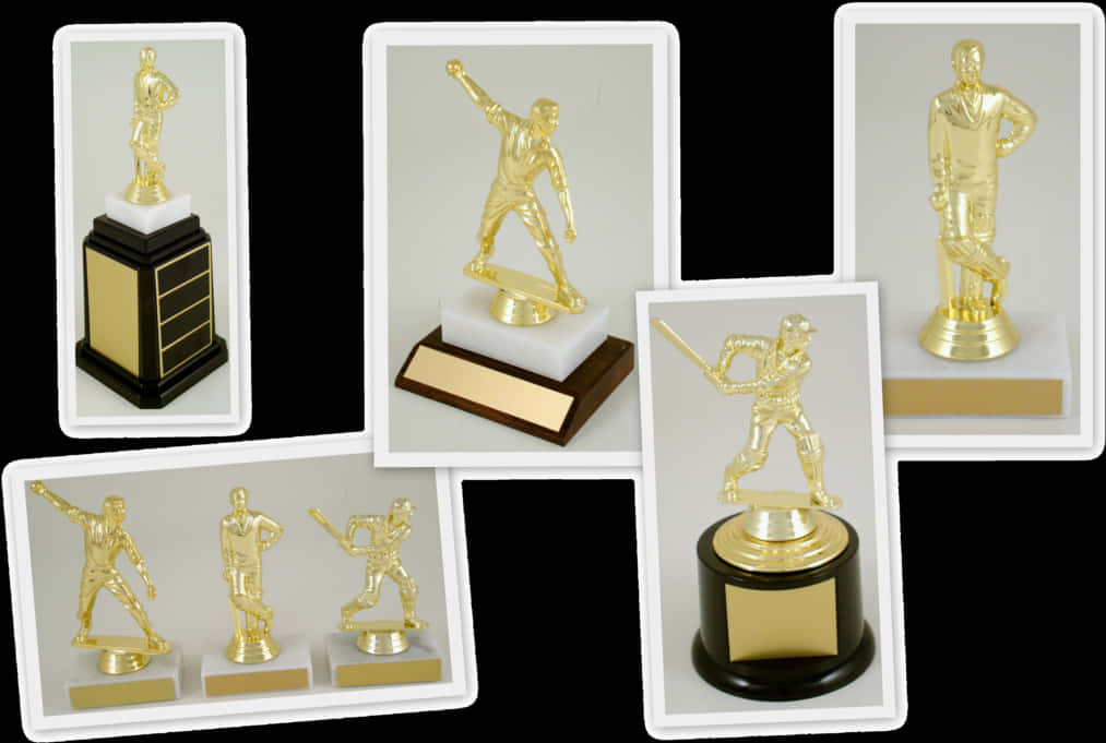 Varietyof Sports Trophies Collection