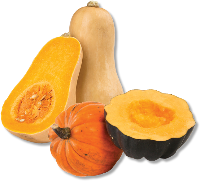 Varietyof Squash Display.png