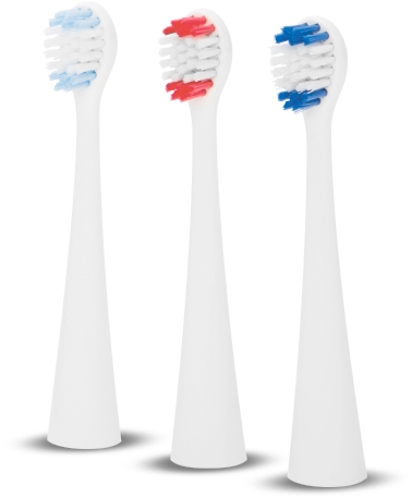 Varietyof Toothbrush Heads