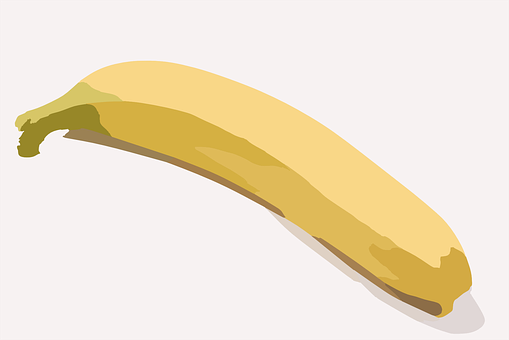 Vector Banana Illustration