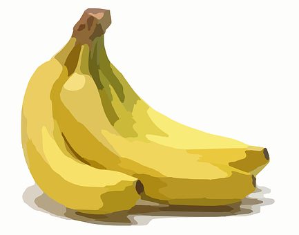 Vector Bananas Illustration