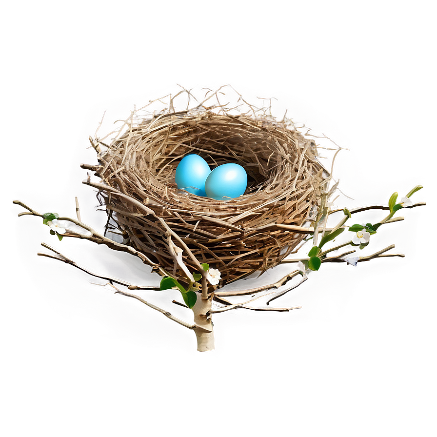 Vector Bird Nest Png Mfd6