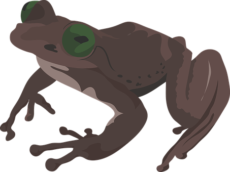 Vector Illustrationof Frog