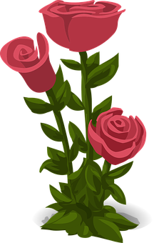 Vector Trioof Pink Roses