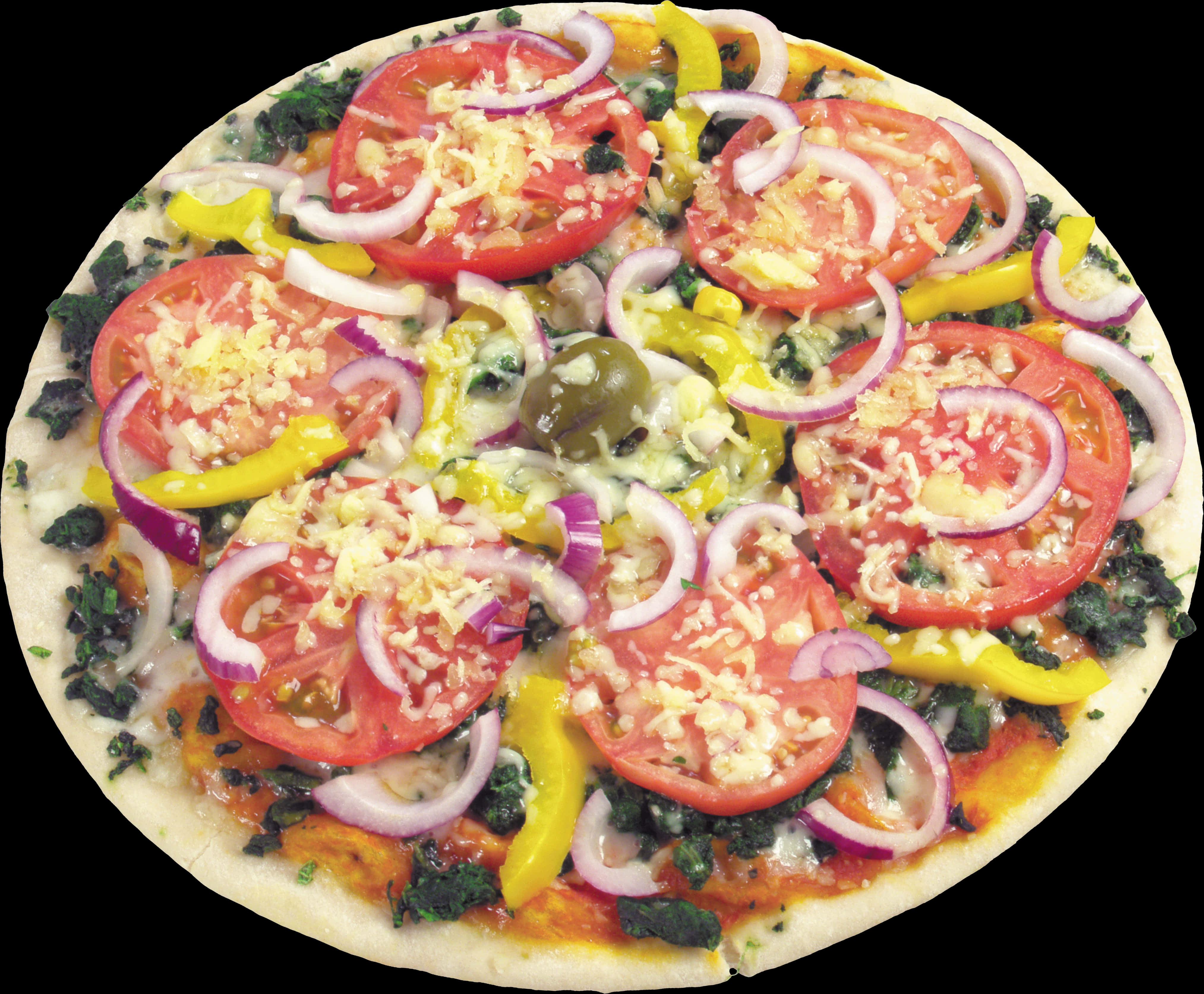 Vegetable Topped Pizza