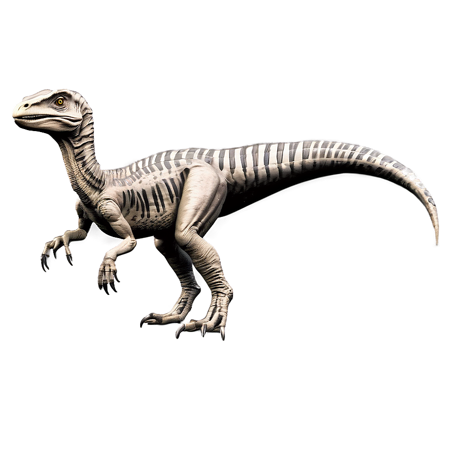 Velociraptor Comparative Anatomy Png 06202024