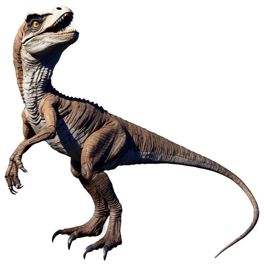 Velociraptor Fossil Replica Png Taq53