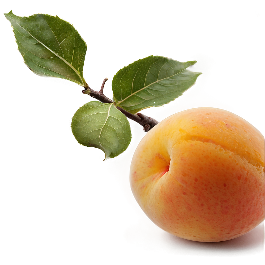 Velvet Apricot Png Kki