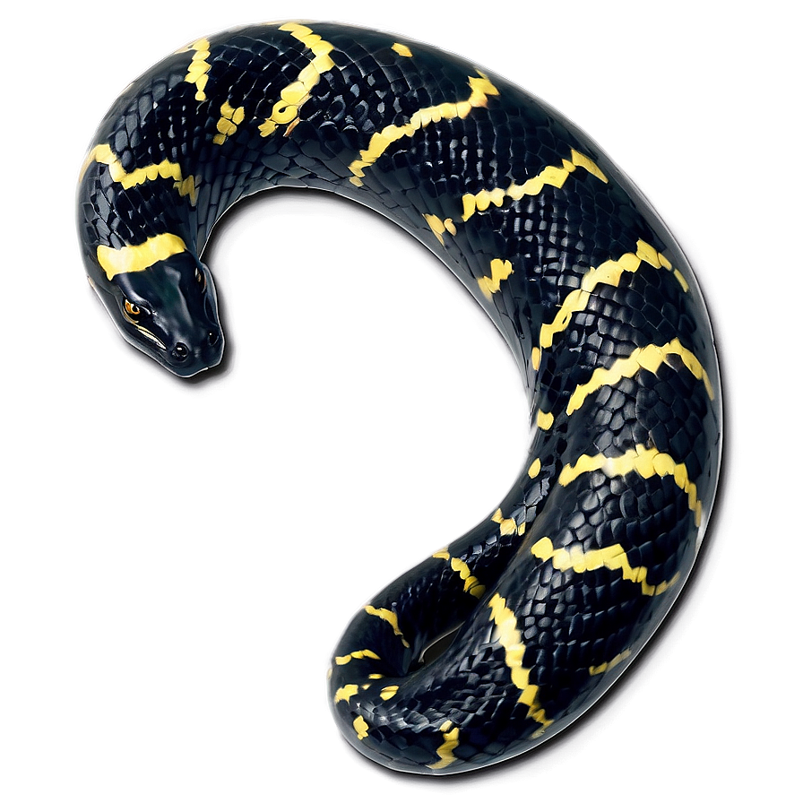 Venomous Black Snake Graphic Png 45