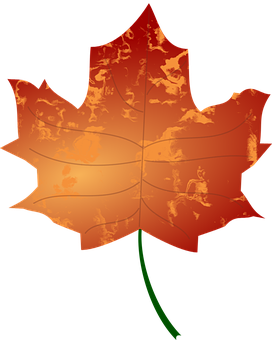 Vibrant Autumn Maple Leaf