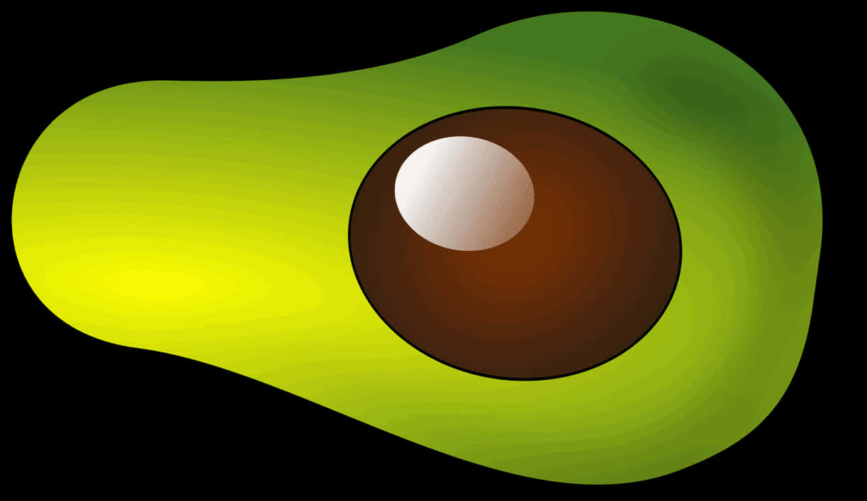 Vibrant Avocado Illustration