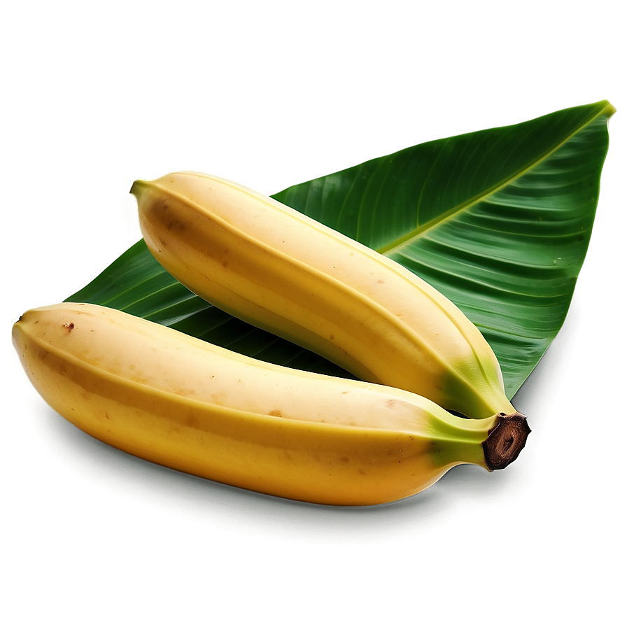 Vibrant Banana Leaf Png 1