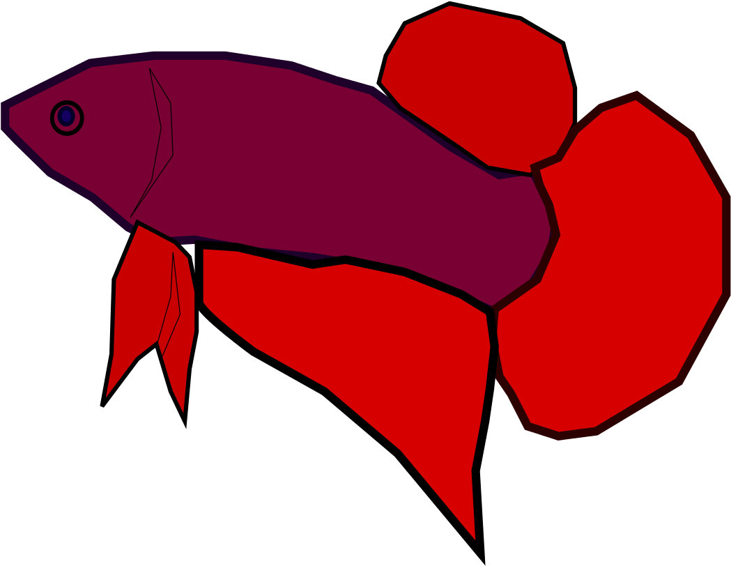 Vibrant Betta Fish Illustration.png