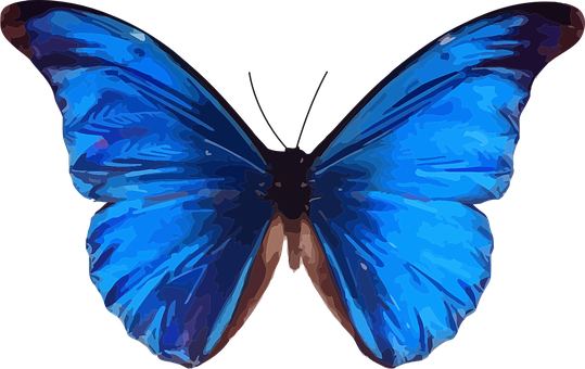 Vibrant Blue Butterfly Art