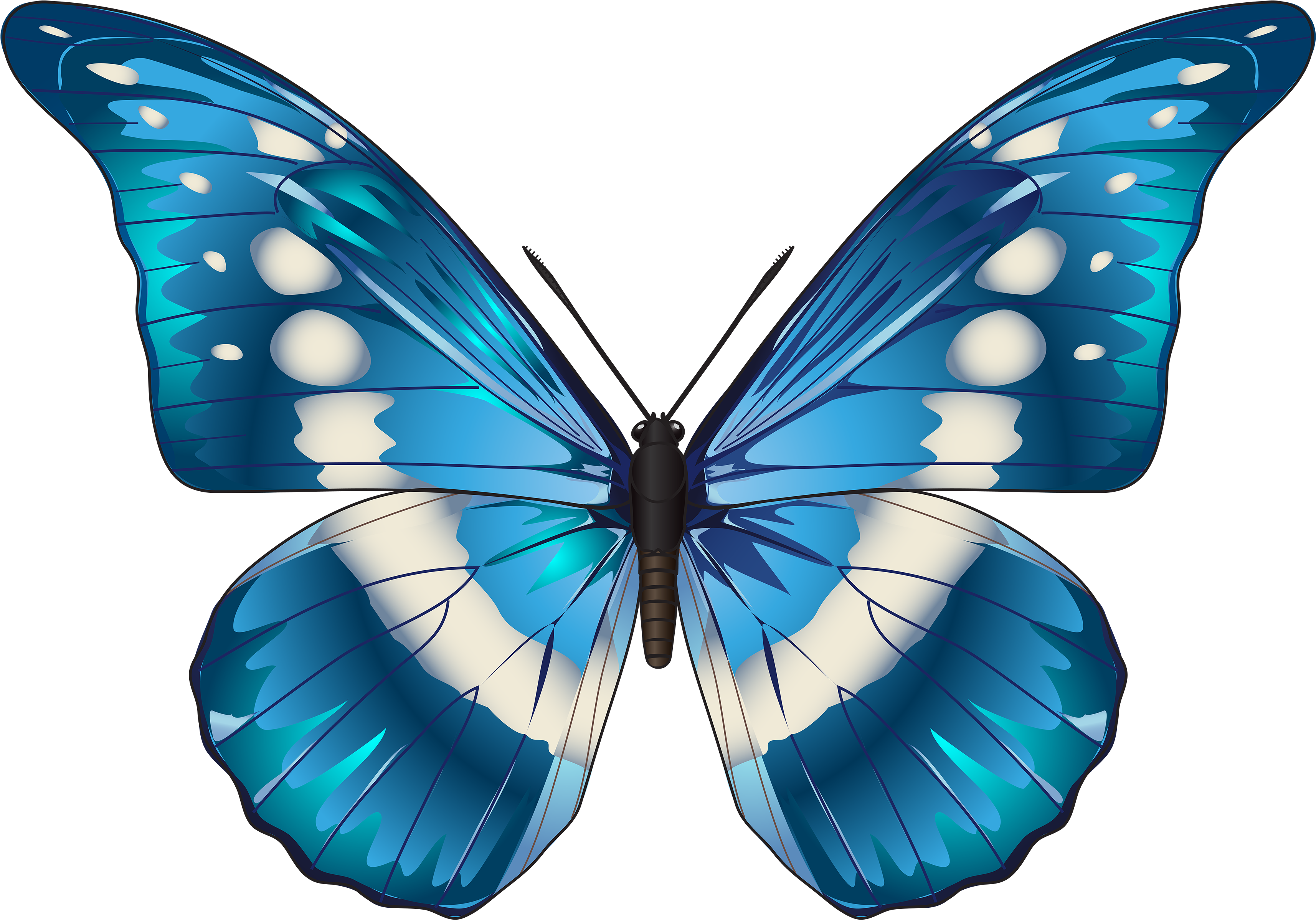 Vibrant Blue Butterfly Illustration